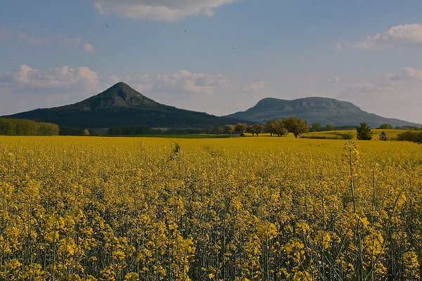SPRING.COUNTRYSIDE
