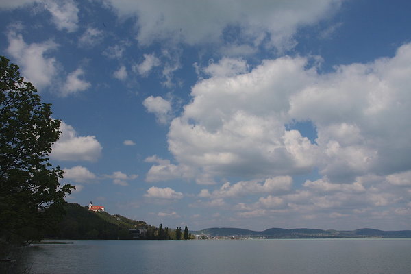 IMG 7410