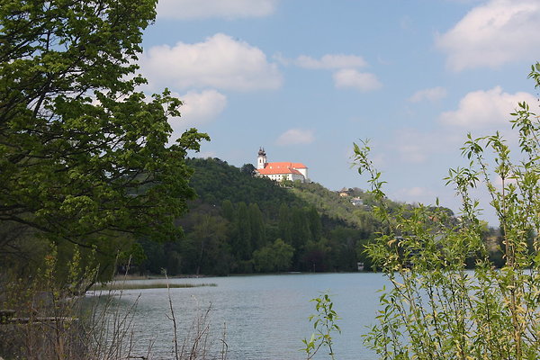 IMG 7408