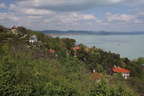 IMG 7375