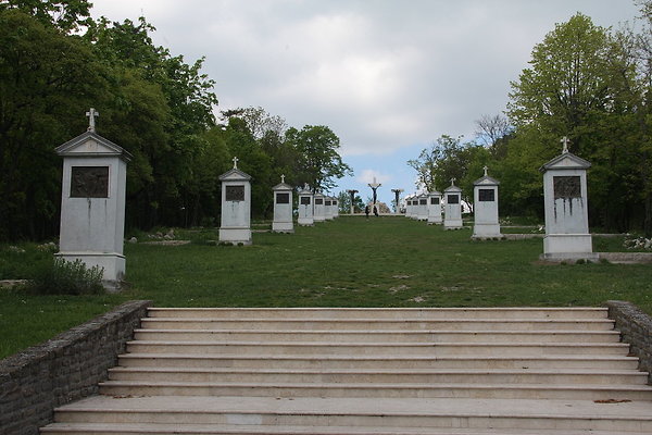 IMG 7401