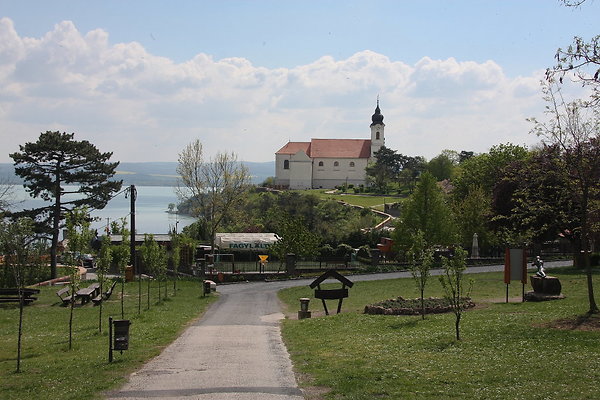 IMG 7397