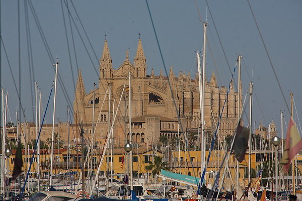 PALMA.MARINA