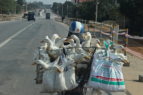 VIET-DUCK.BIKE