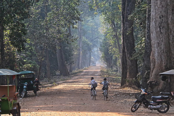 CAMBODIA-LEAFY.LANE