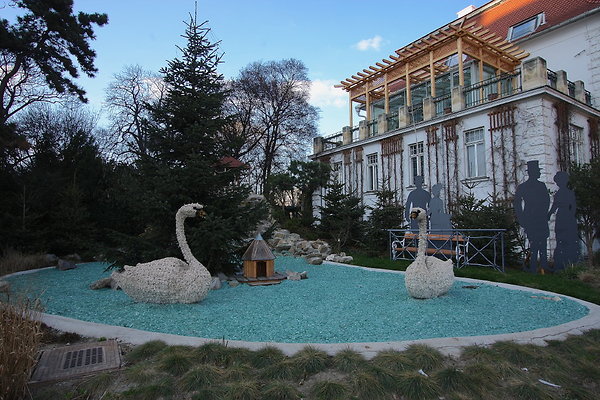 IMG 3686