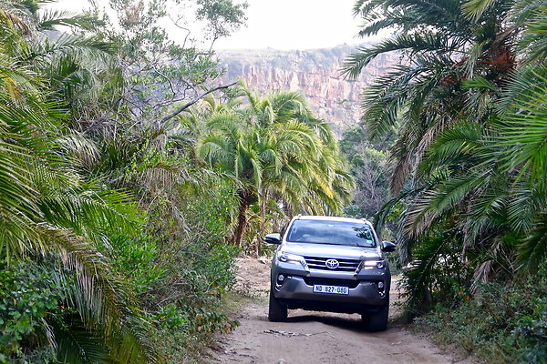 B-4.MZAMBA.JUNGLE-BRIDGE