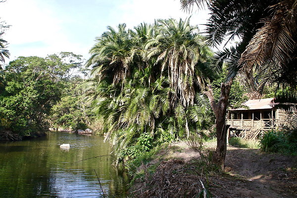 BB-ARBOR.GLADE.1RIVER