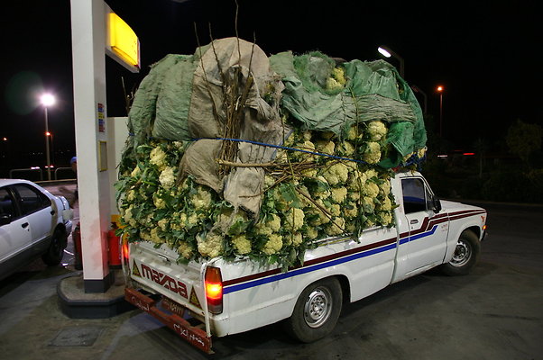 j.Cairo-Cauliflowers
