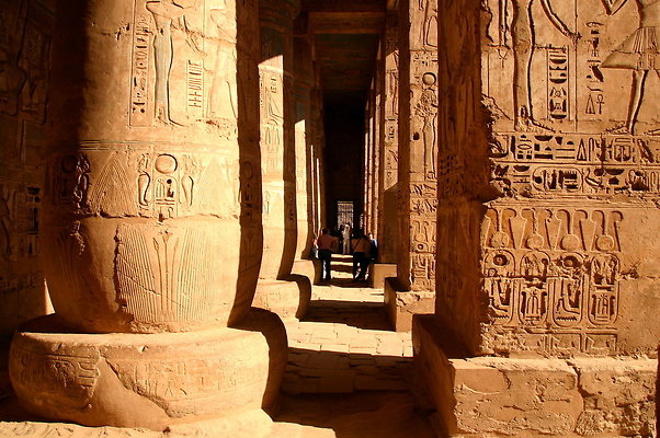 ddd.Habu-Columns2