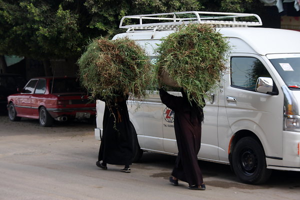 iii.Cairo-HayWomen