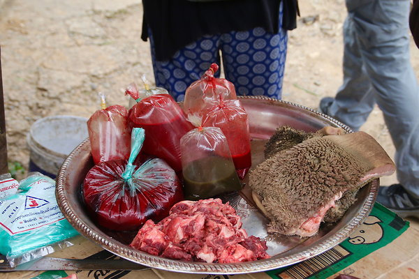 BLOOD.AND.BILE
