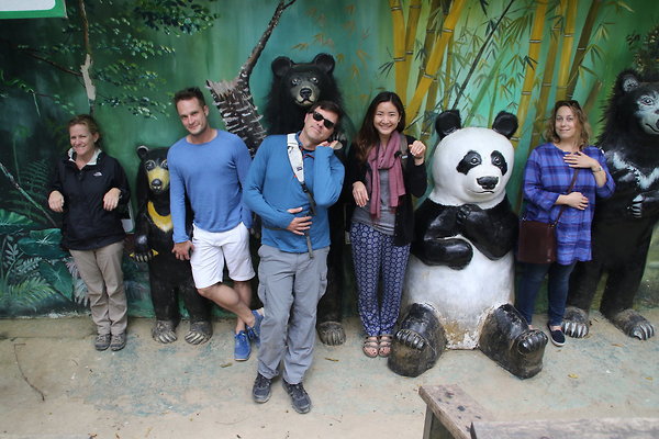 BEAR.NECESSITIES