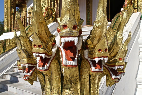DRAGONS