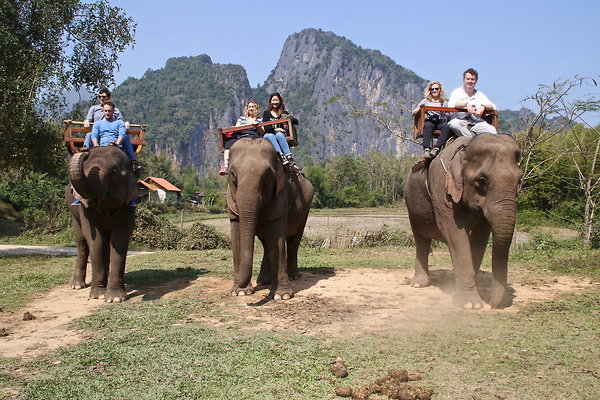 ELEPHANT.RIDE