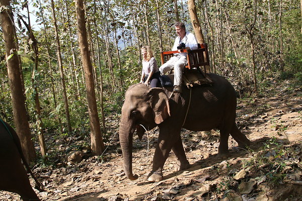 LEANN.THE.MAHOUT