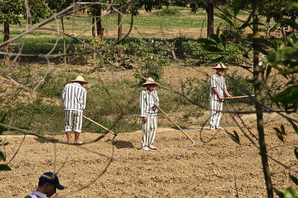 2.PRISON.GARDEN