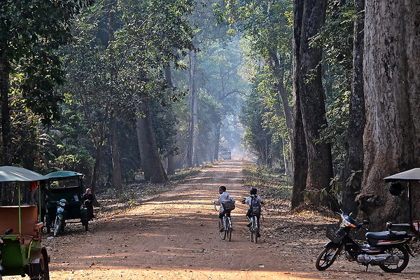 CAMBODIA-LEAFY.LANE
