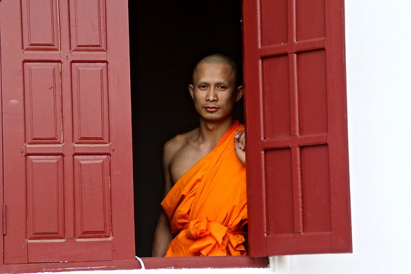 MONK.WINDOW copy