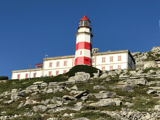 IMG 3553