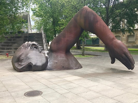 IMG 3560