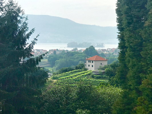 IMG 3584