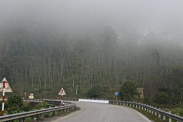B13A4662